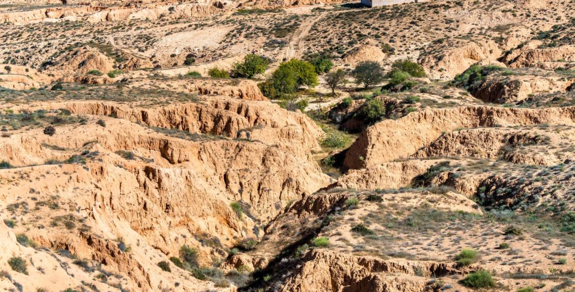 desertizacion