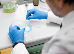 Legionella