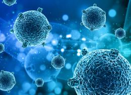 Real Decreto Legionella España