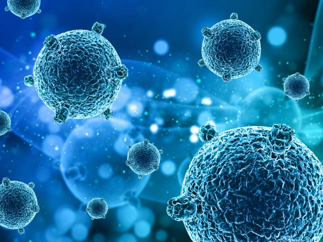 Real Decreto Legionella España