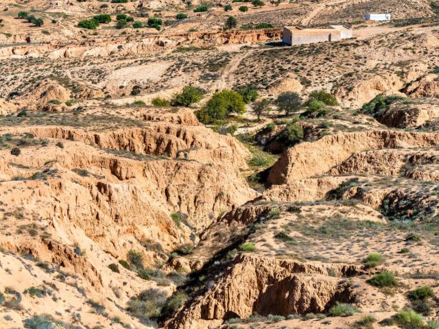 desertizacion