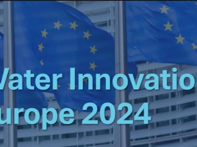 wie innovation 2024